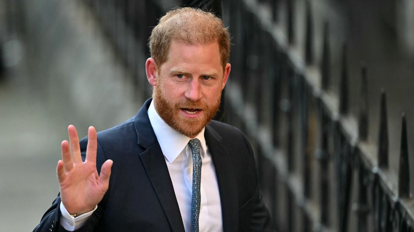 Prinz Harry, britischer Royal