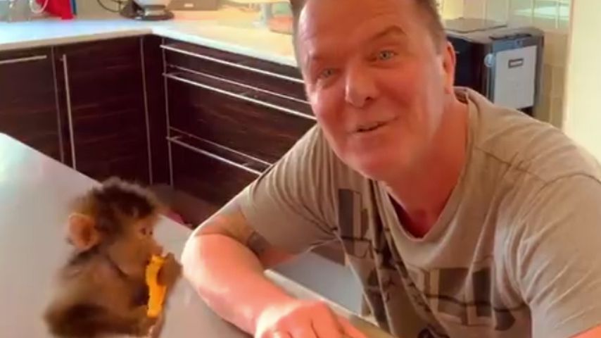Falsche Sorte! Prinz Marcus von Anhalt tauscht Affen um