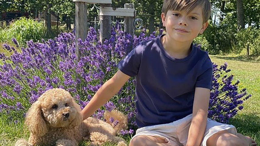 Prinz Oscar im Sommer 2023