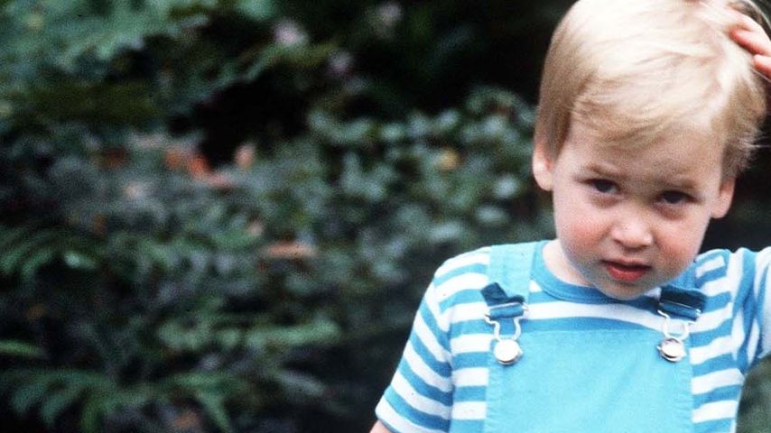 Prinz William: Neu-Papa denkt nur noch an Windeln