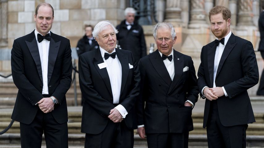 Prinz William, David Attenborough, Prinz Charles und Prinz Harry im April 2019 in London
