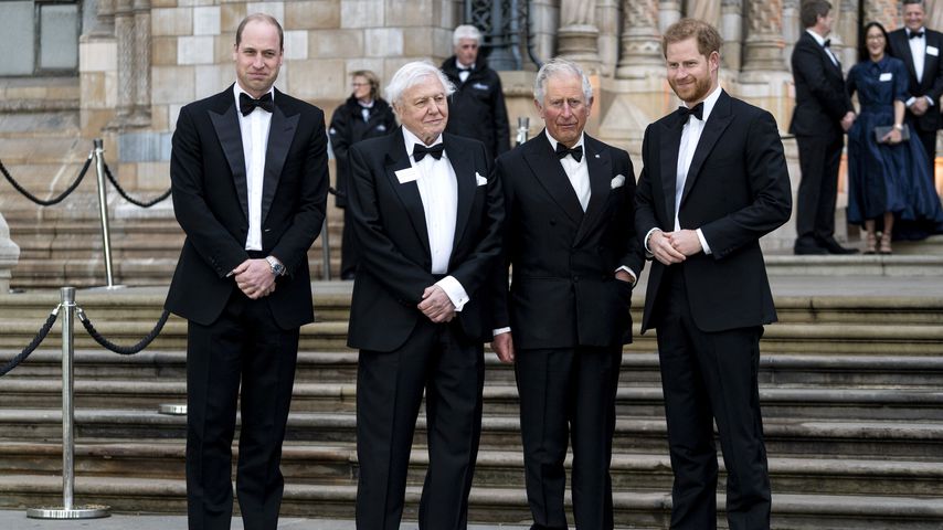 Prinz William, David Attenborough, Prinz Charles und Prinz Harry im April 2019