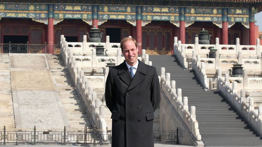 Profi-Papa! Prinz William schwingt den Mal-Pinsel
