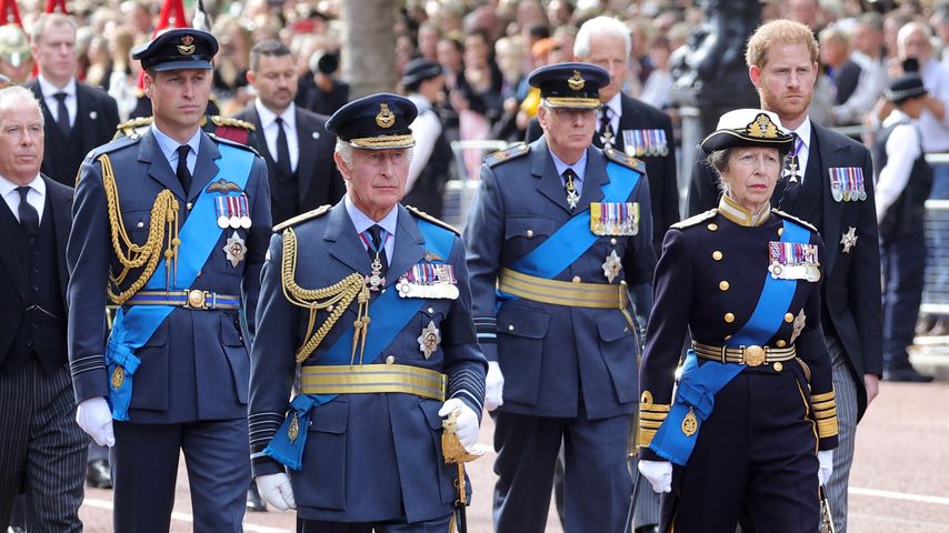 Hier laufen William und Harry Seite an Seite bei Prozession
