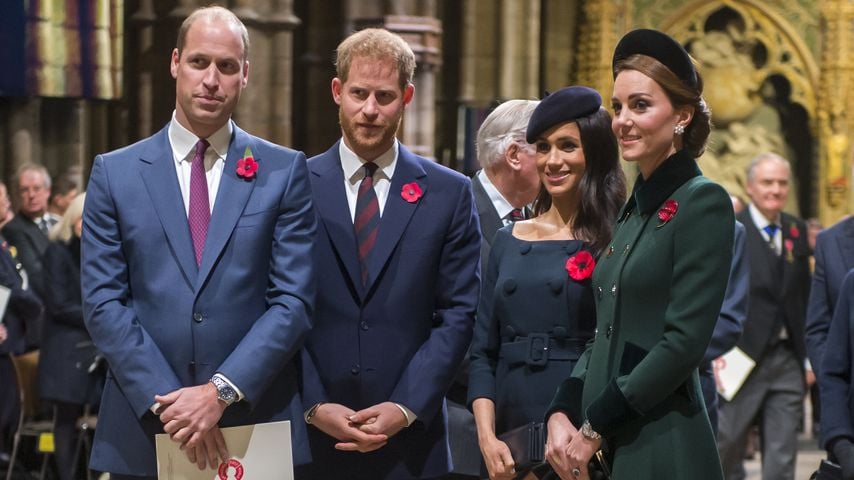 Kann Kate für Versöhnung zwischen Harry und William sorgen?