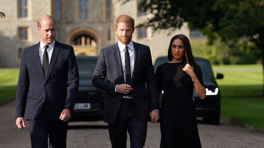 Hochzeit mit Meghan entzweite Prinz Harry und Prinz William!