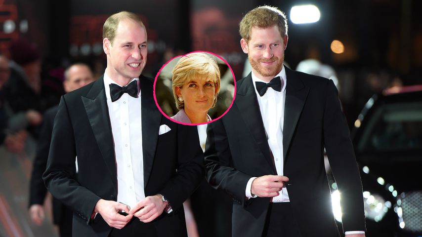 Getrennte Wege: William und Harry teilen Dianas Fonds auf