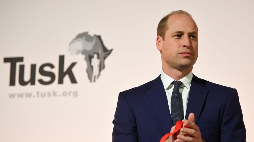 Prinz William im November 2019