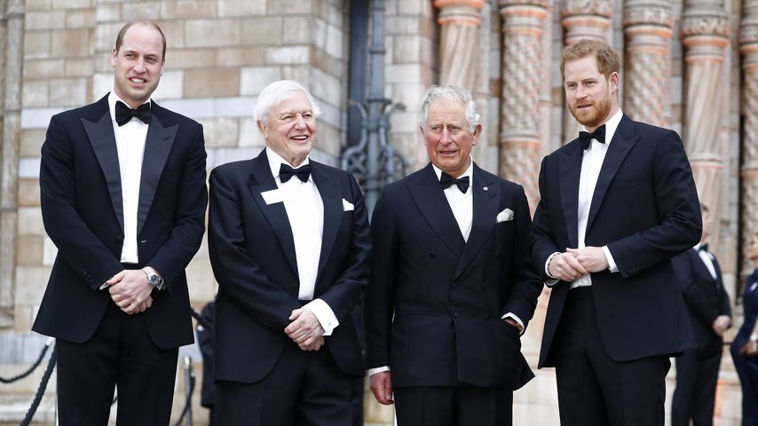Prinz William, Sir David Attenborough, Prinz Charles und Prinz Harry im Jahr 2019