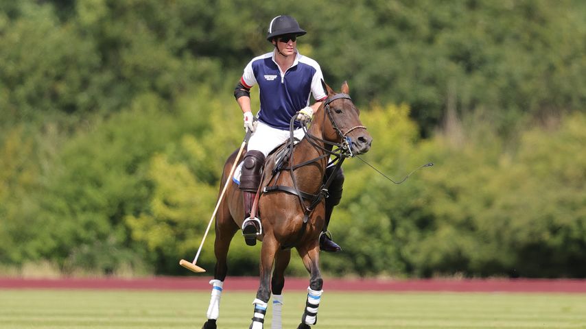 Sportlich! Prinz William zeigt sich knackig bei Polo-Match