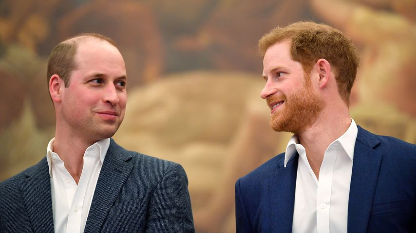 Harry und William würdigen Dianas Vermächtnis in einem Brief