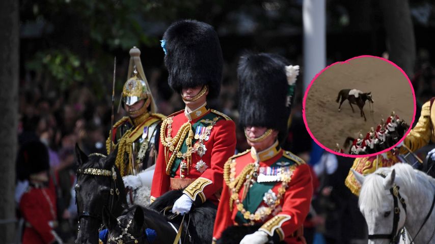 Beim Queen-Jubiläum: Royal-Pferd schmeißt seinen Reiter ab!