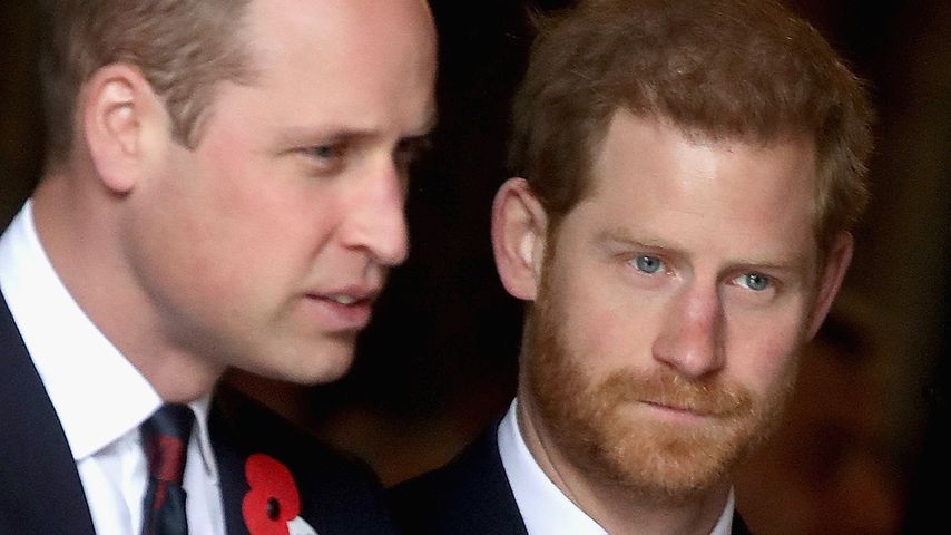 Wird Prinz William Harry bei Krönung kalte Schulter zeigen?