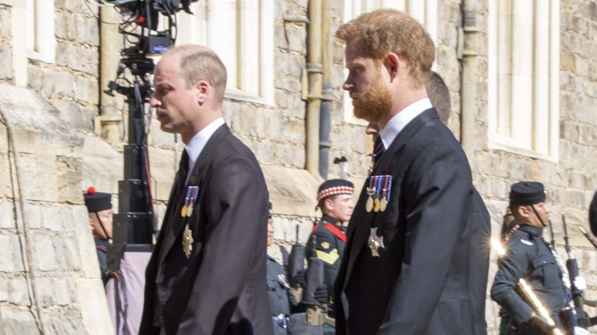 "Friedensstifterin" Kate half Prinz Harry und Prinz William