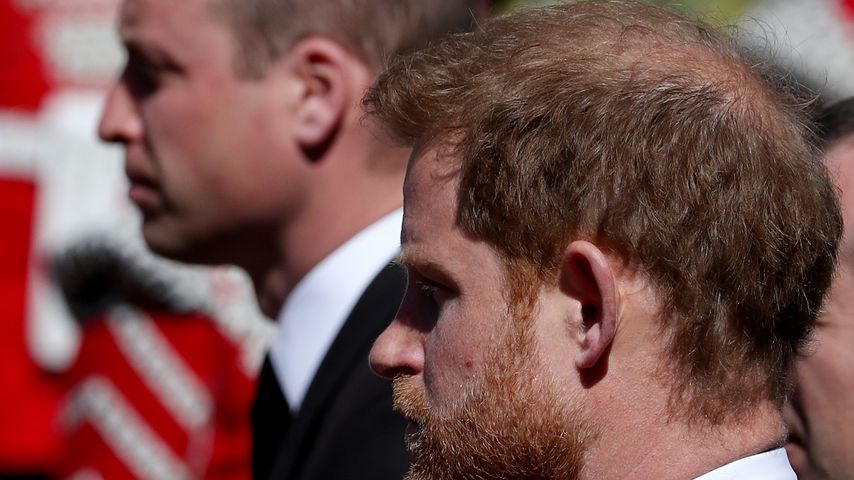 Lippenleser verrät: Darüber haben William und Harry geredet