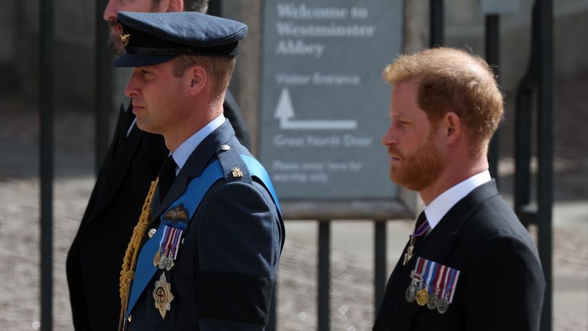 Prinz William hält nichts von einer Royal-Rückkehr von Harry
