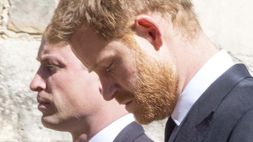 Kann Prinz William Harrys Respektlosigkeit nicht verzeihen?