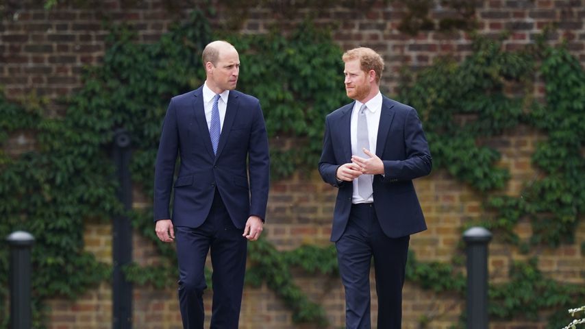 Prinz William und Prinz Harry bei der Enthüllung der Diana-Statue im Juli 2021