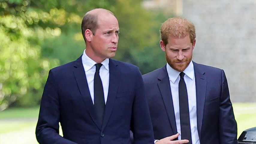 Beenden Prinz William und Harry Streit dank Dianas Familie?