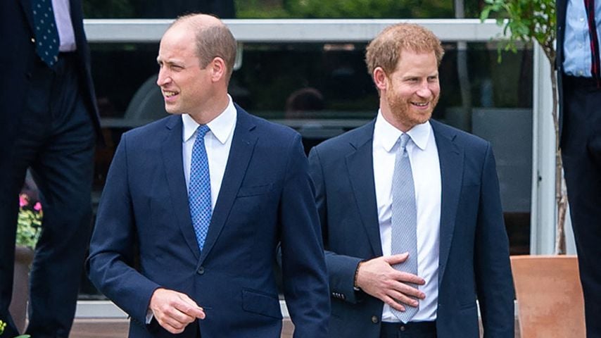 Prinz William und Harry ehren Diana-Award-Gewinner getrennt