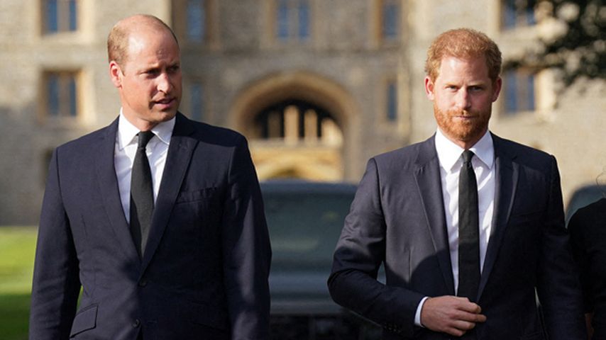 Prinz William blockiert Harrys Rückkehr zu royalen Pflichten
