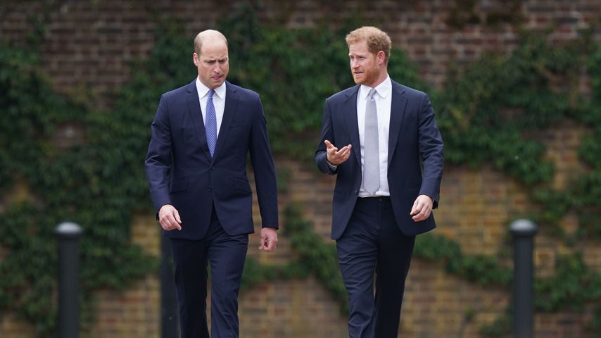 Prinz William und Prinz Harry, 2021
