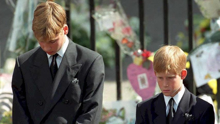 Prinz William und Prinz Harry, Prinzessin Dianas Beerdigung 1997