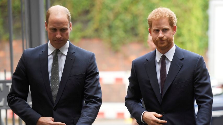 Prinz William und Prinz Harry, 2017 in London