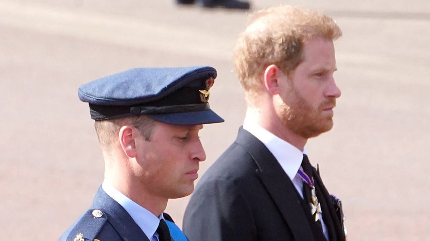 Prinz William und Prinz Harry