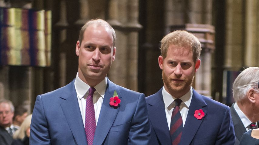 Prinz William und Prinz Harry im November 2018 in London