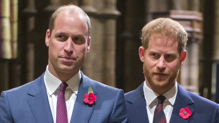 Prinz William und Prinz Harry im November 2018