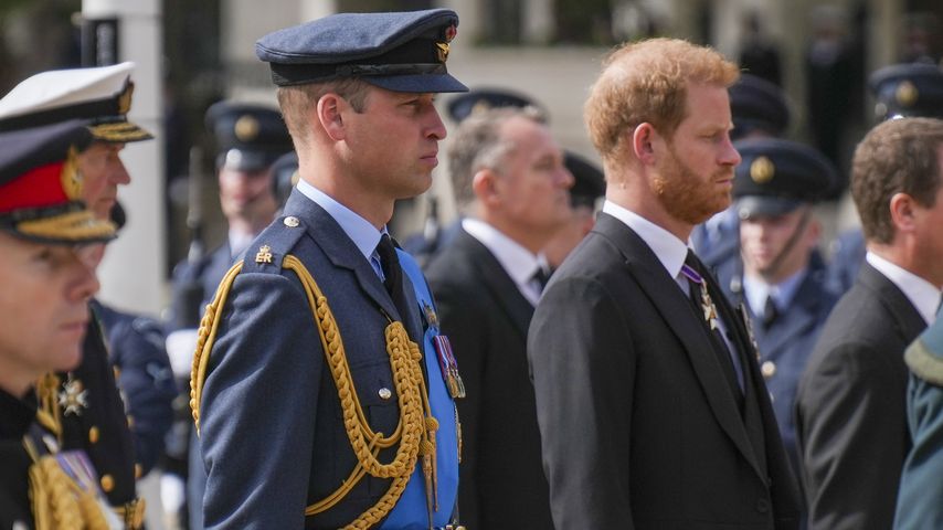 Prinz William und Prinz Harry, Royals