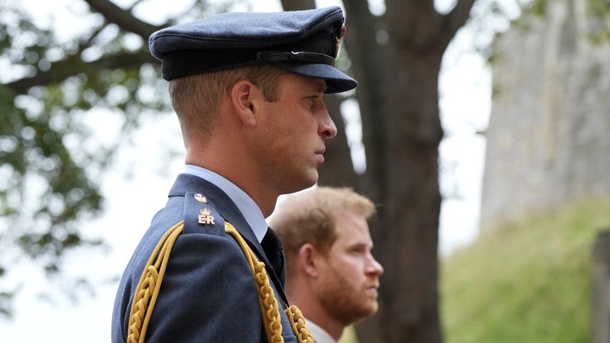 Prinz William findet Prinz Harrys Anschuldigungen "wahnhaft"