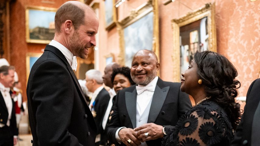 Prinz William glänzt ohne Kate bei diplomatischem Empfang