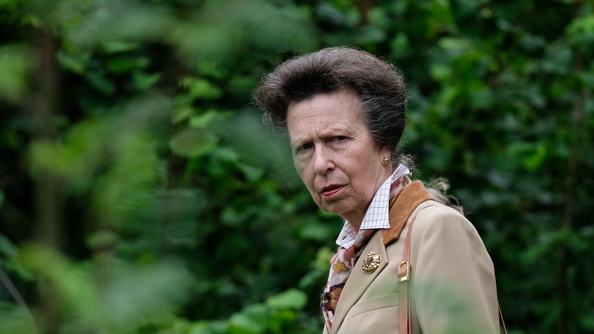 Prinzessin Anne, 2019