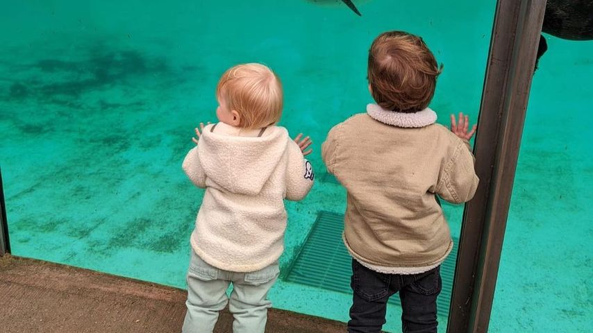 Prinzessin Beatrice' Tochter Sienna und Prinzessin Eugenies Sohn August