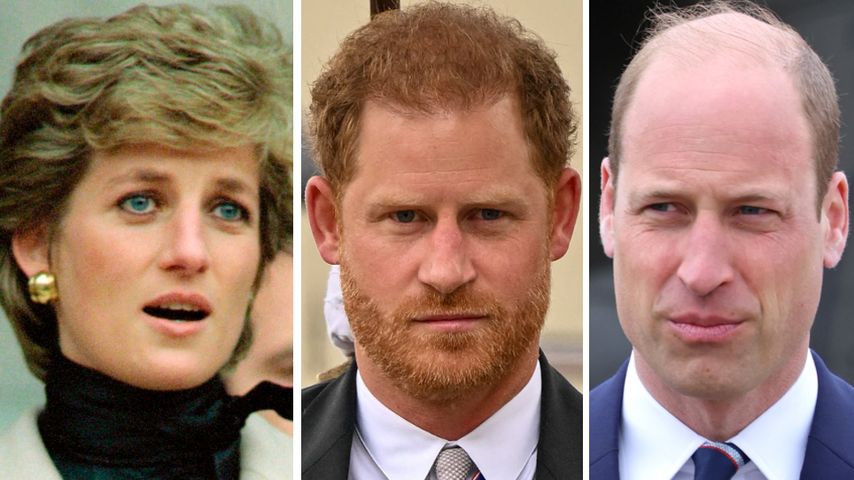 Prinzessin Diana wäre einzige Rettung für die royalen Brüder