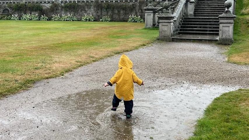 Prinzessin Eugenies Sohn August