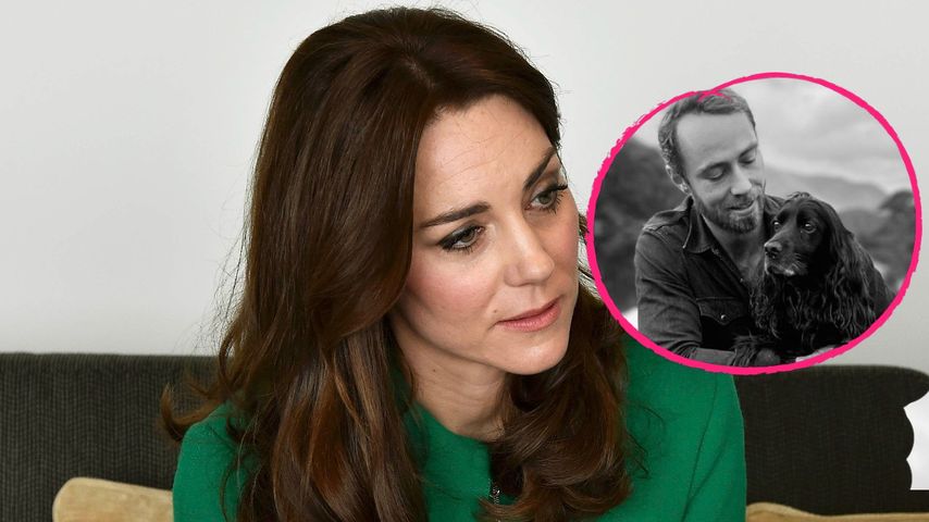 Hündin ihres Bruders ist tot: Prinzessin Kate nahm Abschied!
