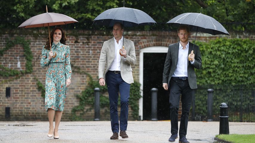 Kate drängte Prinz William zu Geburtstagsgrüßen an Harry