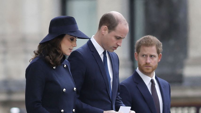 Sorge um die Familie: Prinz Harry fühlt sich schuldig!