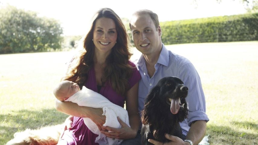 Prinzessin Kate und Prinz William mit Baby George und Hund Lupo, 2013