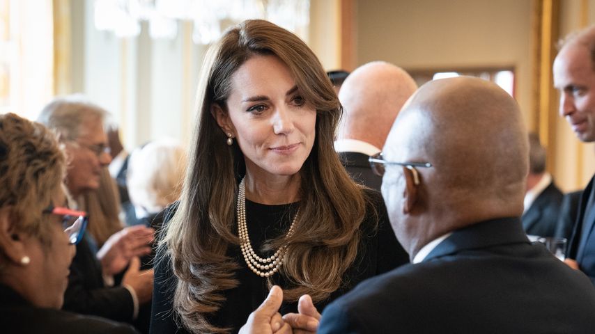 Prinzessin Kate unterstützt William bei Empfang im Palast!