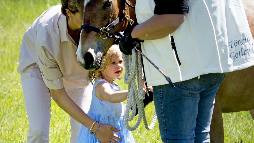 Tierisch süß! Prinzessin Leonore trifft ihr eigenes Pony