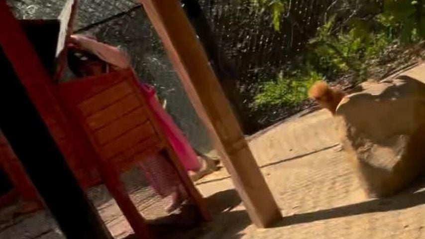 Prinzessin Lilibet sucht Eier, April 2026