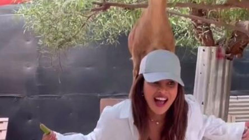 Priyanka Chopra im September 2023