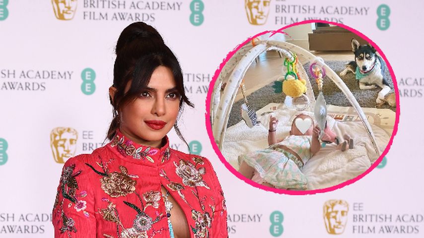 Süße Rasselbande: Priyanka Chopra zeigt Malti mit Hunden