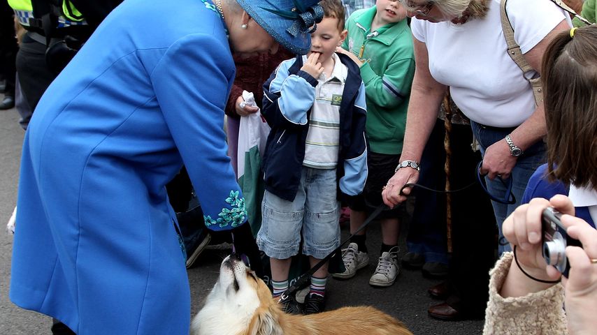 1. Mal: Queen Elizabeth II. & ihre Hunde auf Magazin-Cover!
