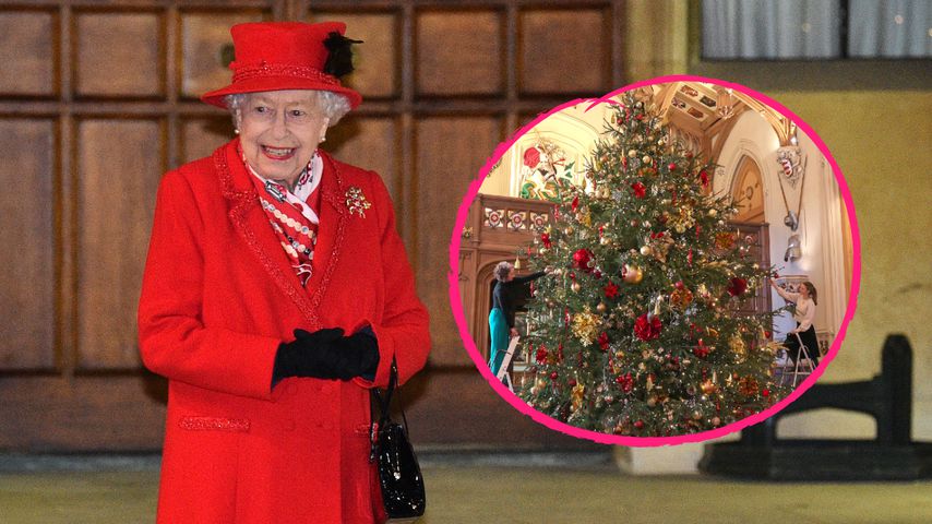 Sechs Meter hoch! So sieht der Weihnachtsbaum der Queen aus