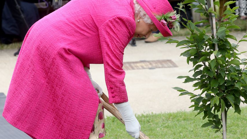Baum gepflanzt: Hier greift die Queen selbst zum Spaten!